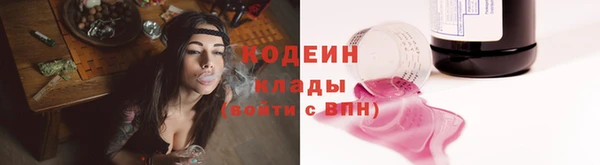прущий лед Гусев