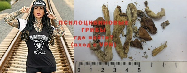прущий лед Гусев