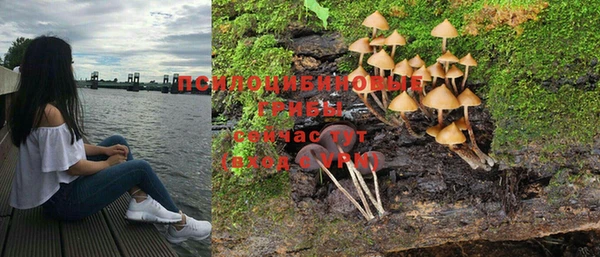 прущий лед Гусев