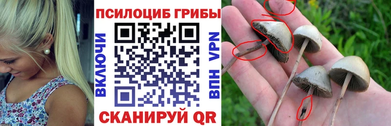 закладка  Ильский  mega ТОР  Псилоцибиновые грибы ЛСД 