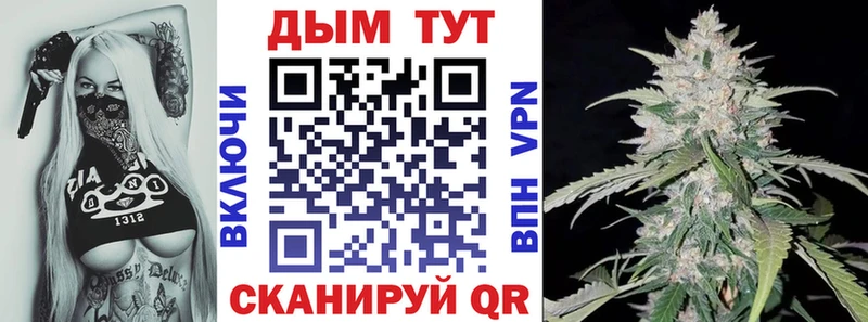 где можно купить наркотик  площадка телеграм  Каннабис марихуана  Ильский 